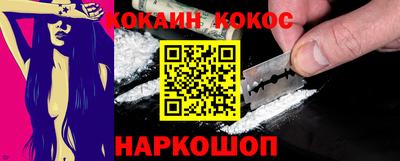 твердый Кингисепп