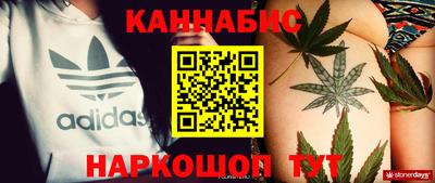 твердый Кингисепп