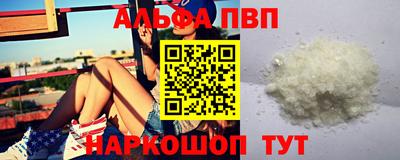 твердый Кингисепп