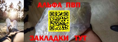 твердый Кингисепп