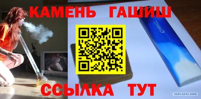 твердый Кингисепп