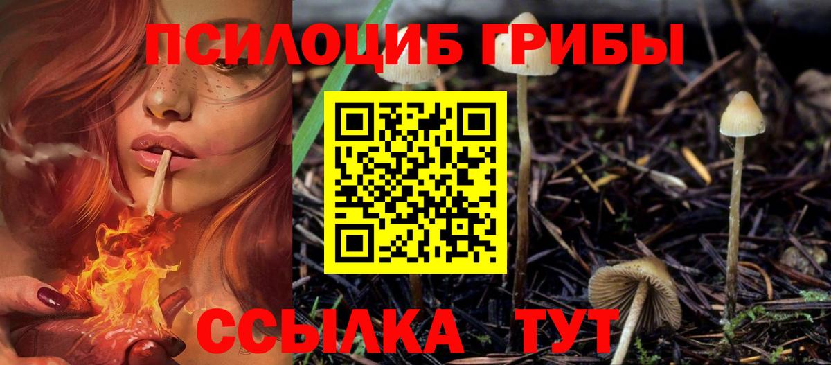 Галлюциногенные грибы Magic Shrooms  Вход с VPN  Комсомольск-на-Амуре 